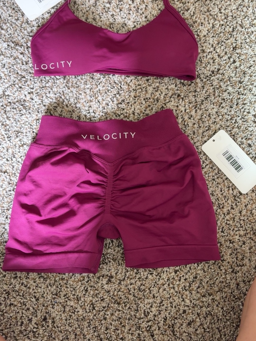 Velocity Plum Seamless Sports Bra and High-Waist Bike Shorts